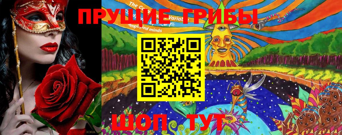 Псилоцибиновые грибы прущие грибы Сыктывкар